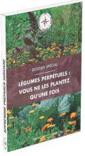 legumes-perpetuels.png